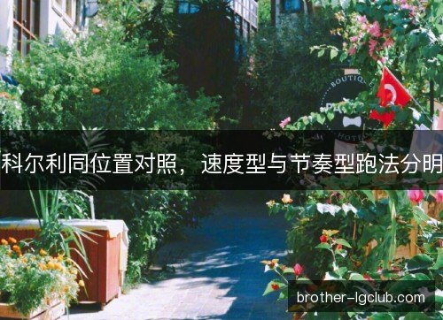 科尔利同位置对照，速度型与节奏型跑法分明